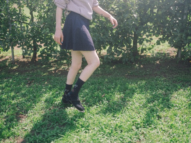 高山植物図鑑　col.navy