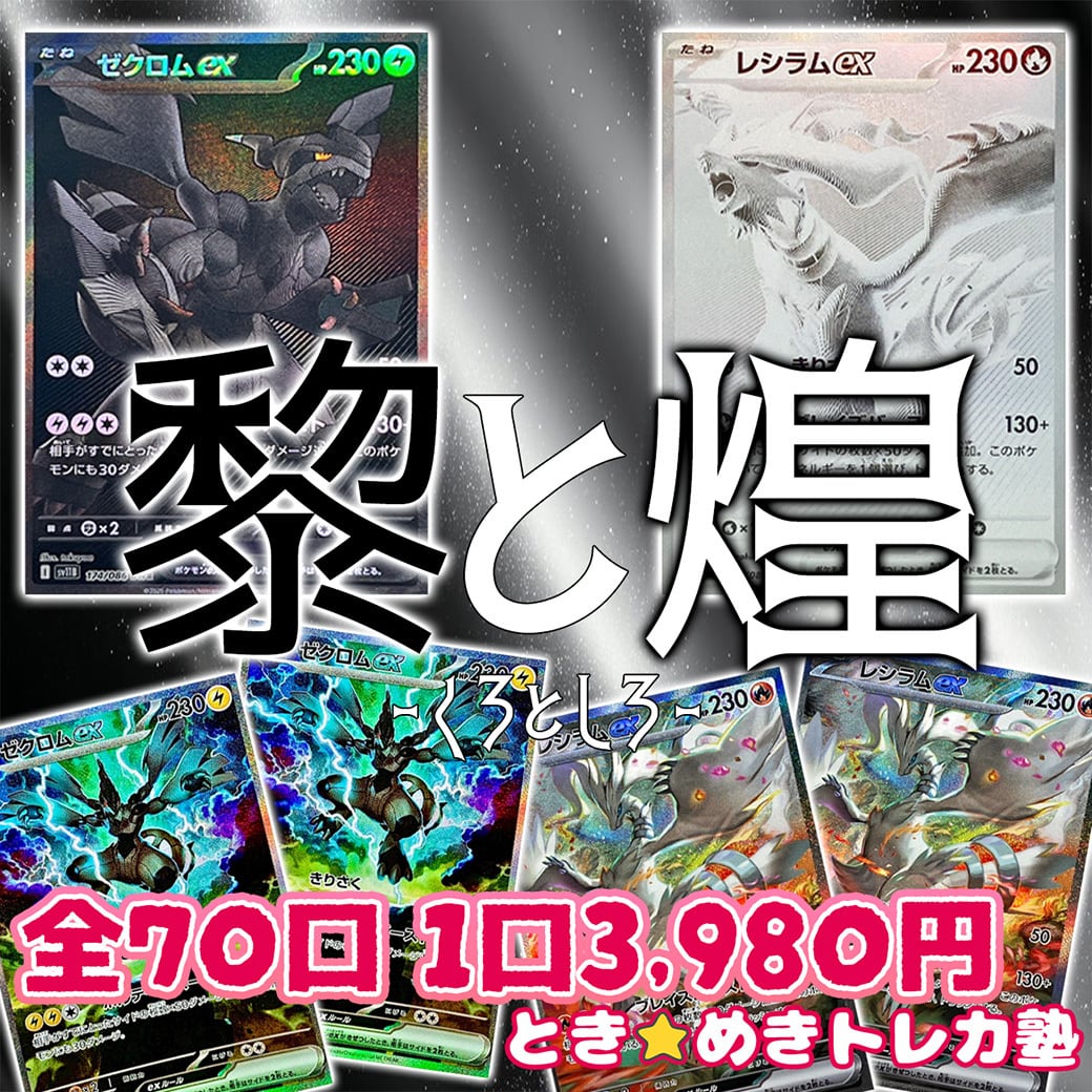 PSA10 レシラムex ゼクロムex SR 2枚セット PSA10 レシラムex ゼクロムex SR 2枚セット PSA10 レシラムex ゼクロム