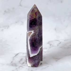 ドリームアメジストタワーB(シェブロンアメジスト・ケープアメジスト)