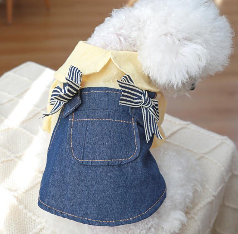 おすすめ☞《予約》3101332 重ね着風スプリングキャミセット