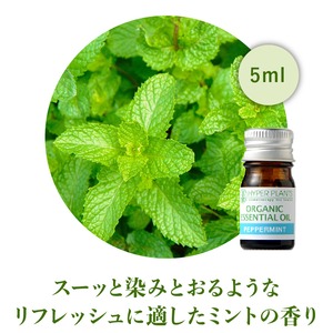 鼻炎 花粉症対策 Salon アロマ日和