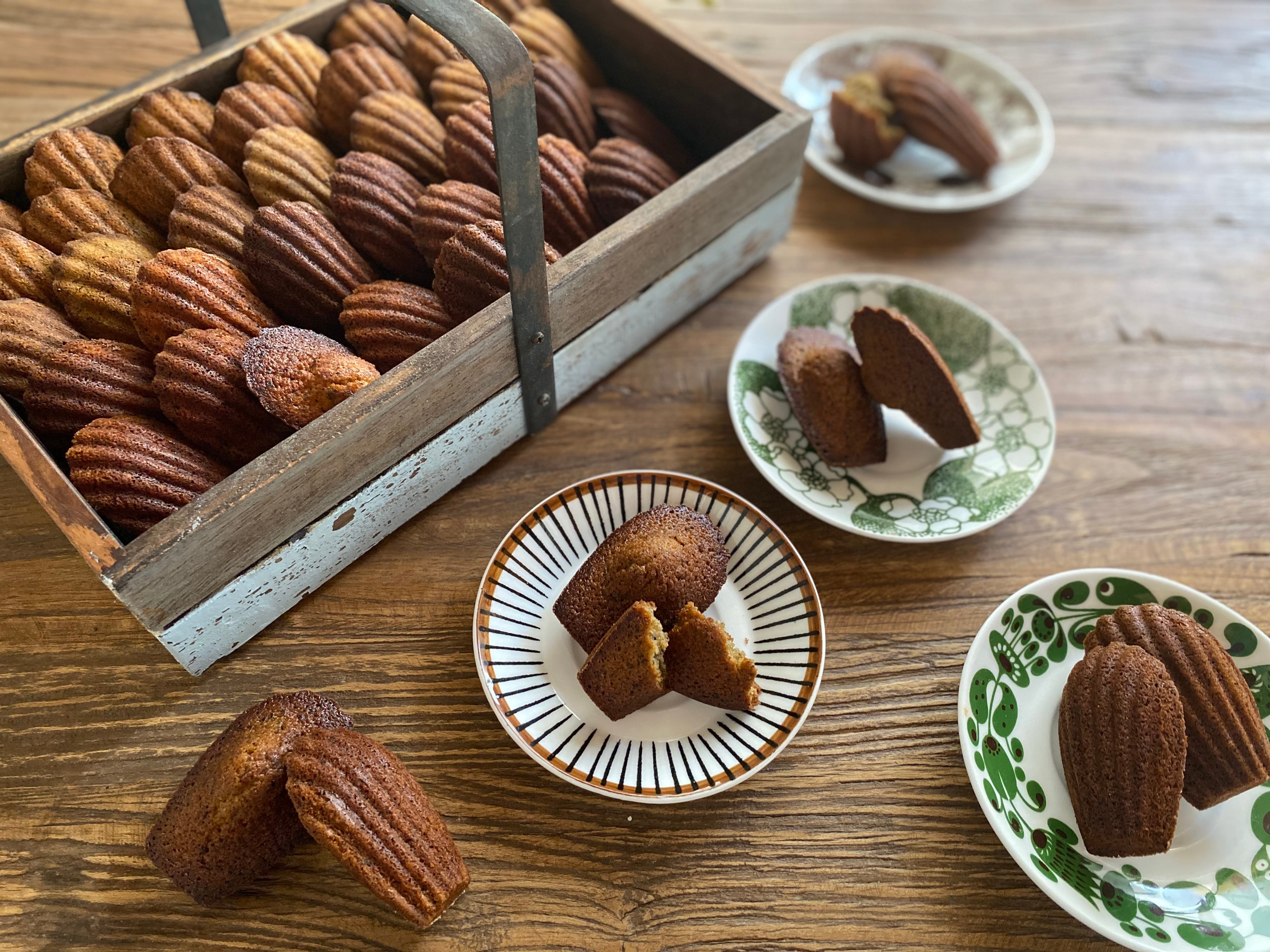 送料無料　真柏オブジェ レアの珍品 送料無料真柏オブジェ レアもの珍品一点物