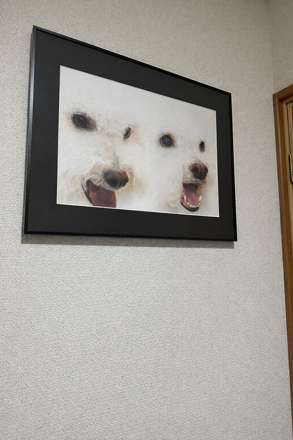 うちの子似顔絵 ペット似顔絵 イラストオーダー ねこ いぬ プレゼント