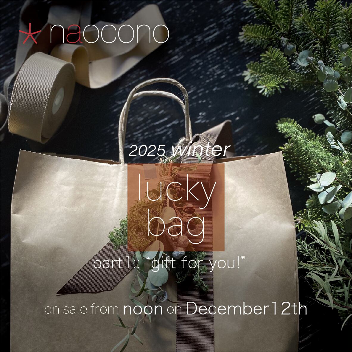 lucky bag 2025 -part1-