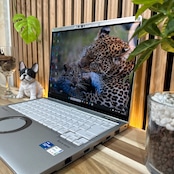 \ 公式ショップ限定価格❣️/ 《希少タッチパネル》Panasonic Let's note FV1 メモリ16GB SSD256GB 第11世代 ノートパソコン 安心サポート&3ヶ月保証付き