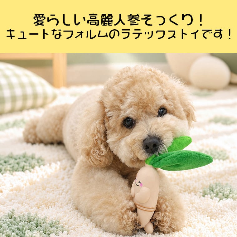 A+ginseng latex toy 2color /  ペット 犬 おもちゃ 噛む 音が鳴る 知育玩具 鳴き笛入り 可愛い わんちゃん おもちゃ ラテックス トイ ストレス解消 韓国 ペット用品