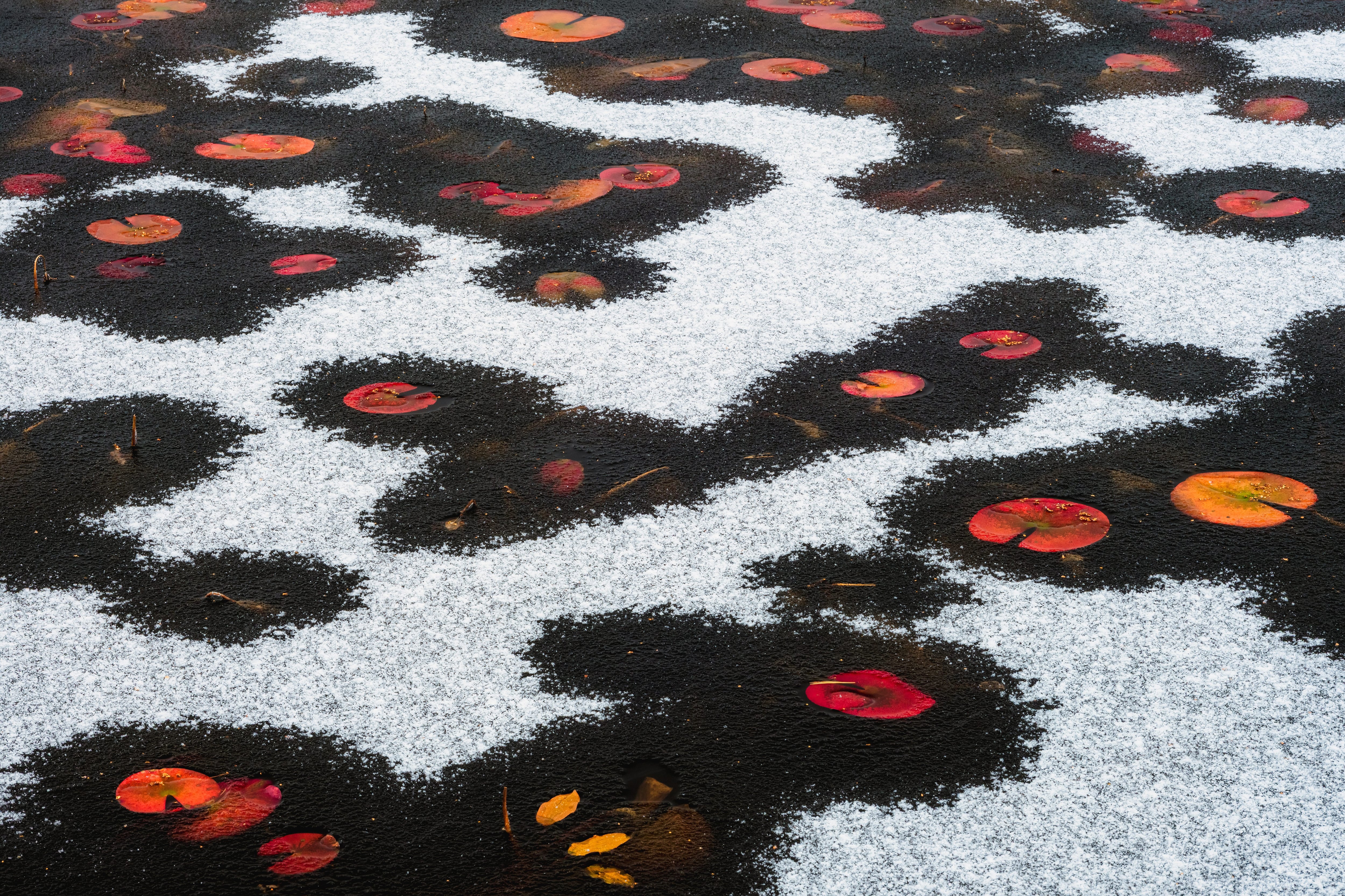 【In-between展示品】間奏 A2サイズ