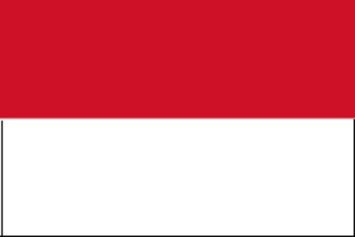 インドネシア　スマトラマンデリン　ブルーバタック　100ｇ【焙煎後約83g】
