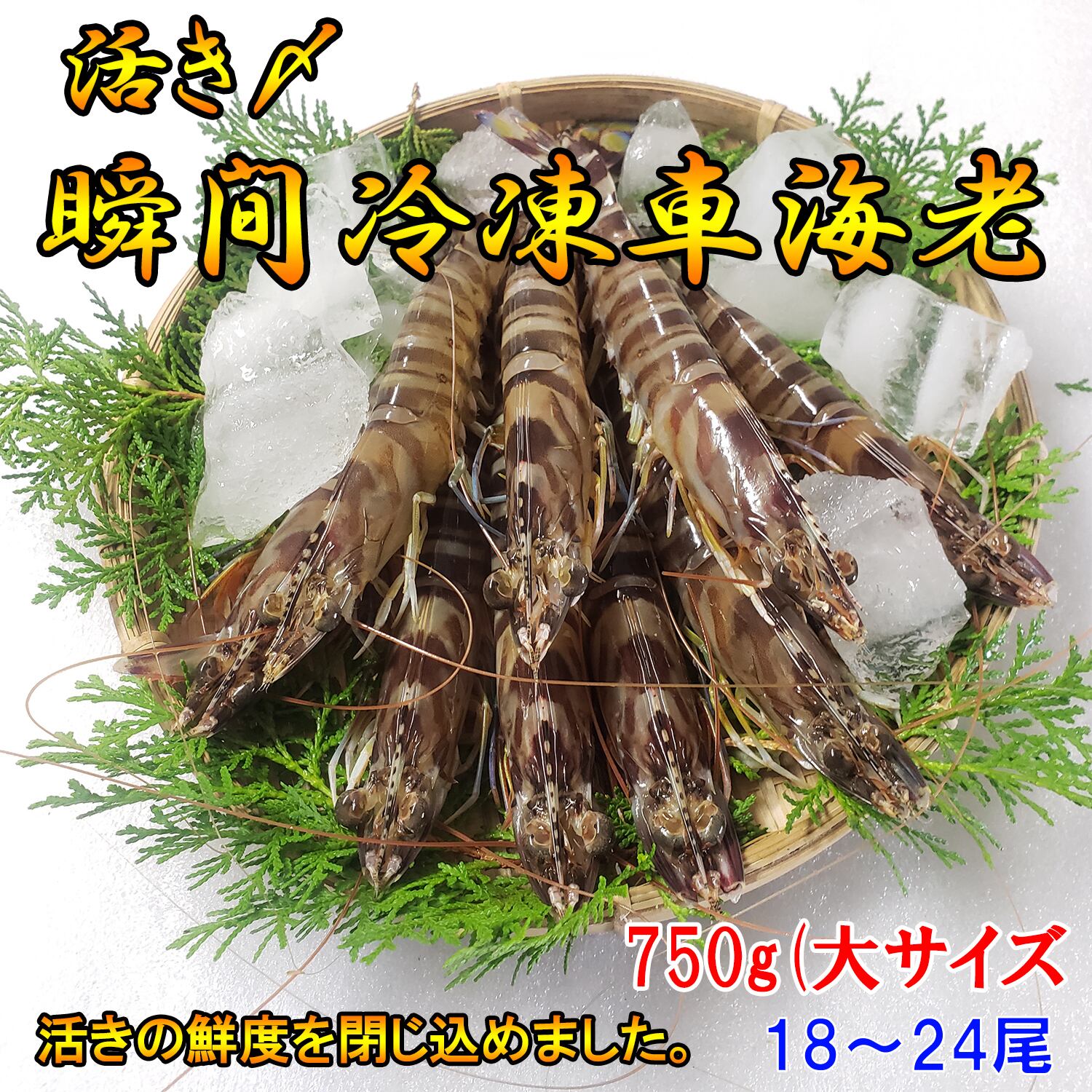 活き〆瞬間冷凍 車海老 750g (大サイズ厳選) (18～24尾) 250g×3パック 熊本県産 水揚げ即瞬間冷凍で鮮度抜群☆生食可！急速冷凍車エビ /クルマエビ/車えび/さしみ用