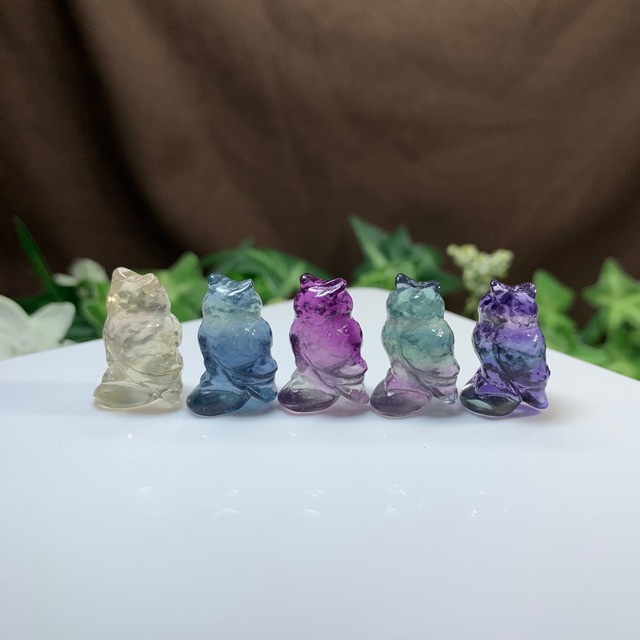 1.可愛い家族･小さいフローライトふくろう