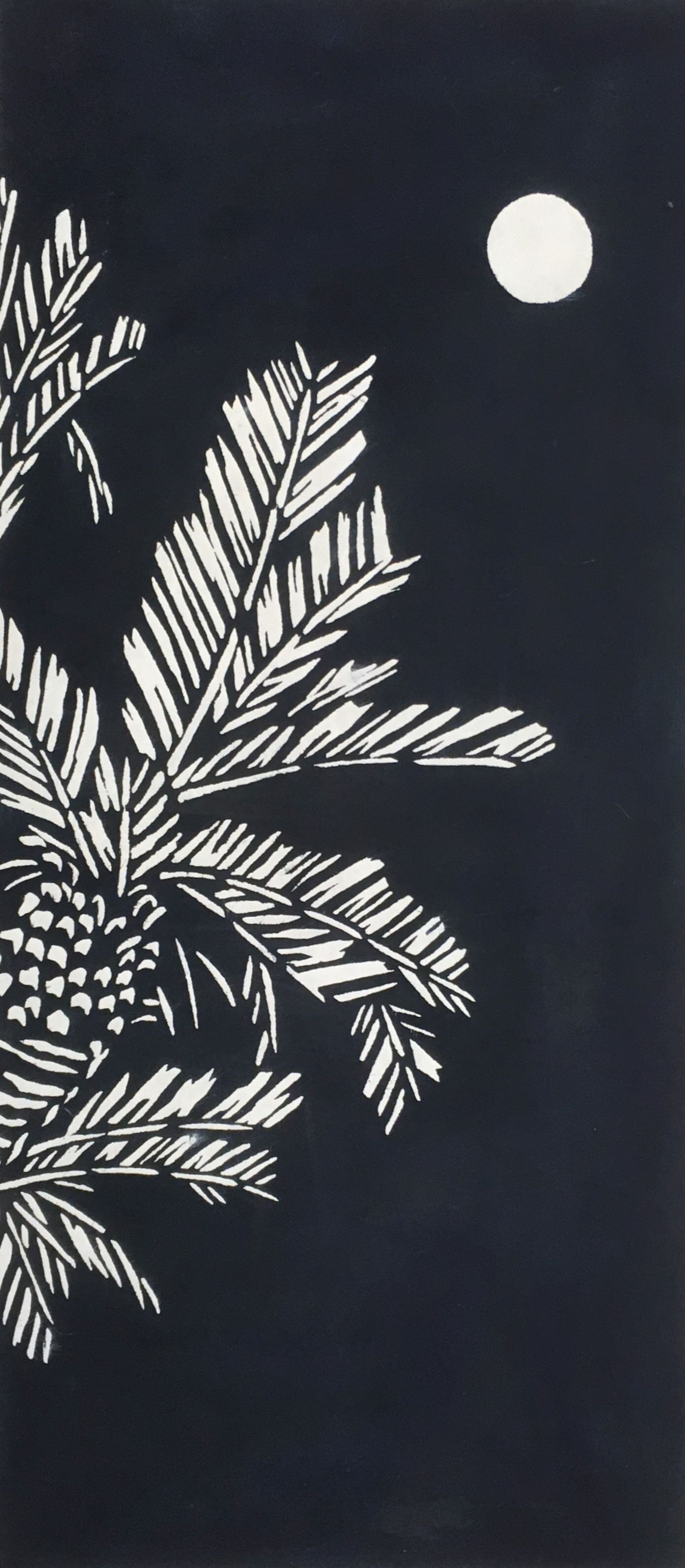 ソテツ(宮崎県)