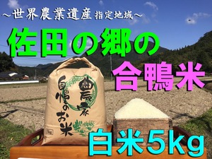 【令和５年新米】佐田の郷の米（白米５kg／玄米５.５kg）【アイガモ米】