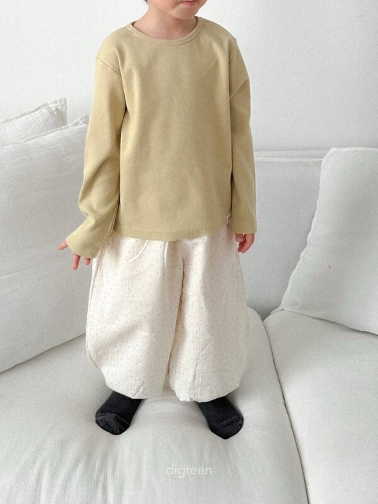 digreen 26/SS モーブパンツ