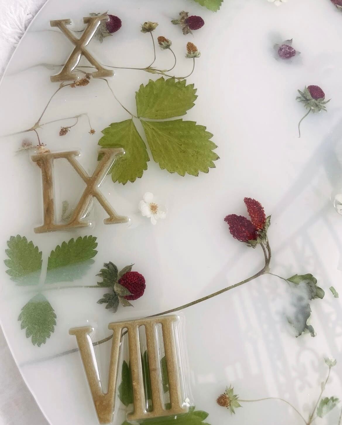 wild strawberry 