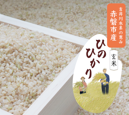 ※おかげさまで販売終了いたしました。岡山県産　ひのひかり【玄米】　5kg