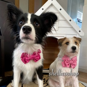 【wild rose】ボリュームたっぷりリボンチョーカー