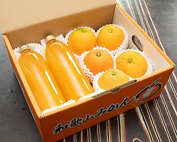 蔵出しみかん通販｜昔ながらのみかん 鈴木農園