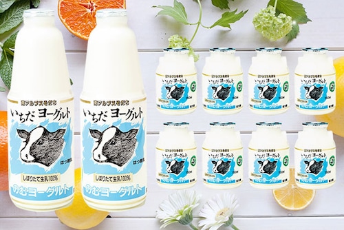 【ギフト】飲むヨーグルト「いちだヨーグルト」900ml×2本・150ml×8本（贈答・ギフトA-11）