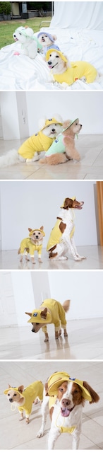 【puppygallery公式】 Outside+ cooling bucket hat 〈Yellow〉S-Ｍ