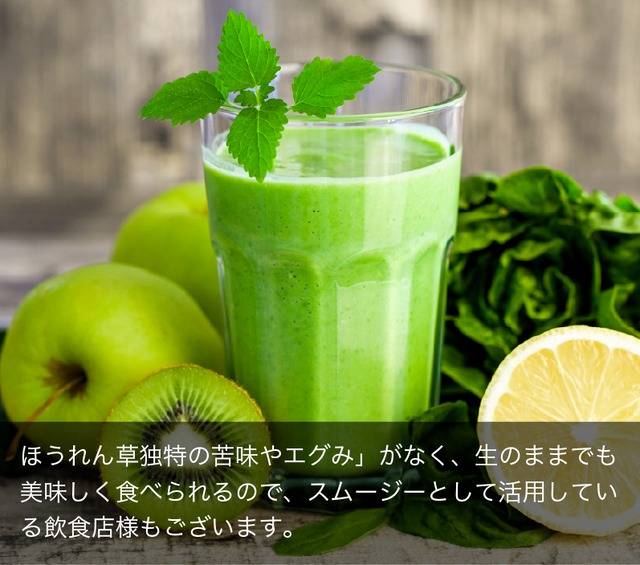 サラダほうれん草・1ケース（40束/ケース）国産【140サイズ】