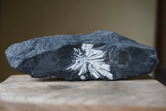 菊花石　Chrysanthemum Stone