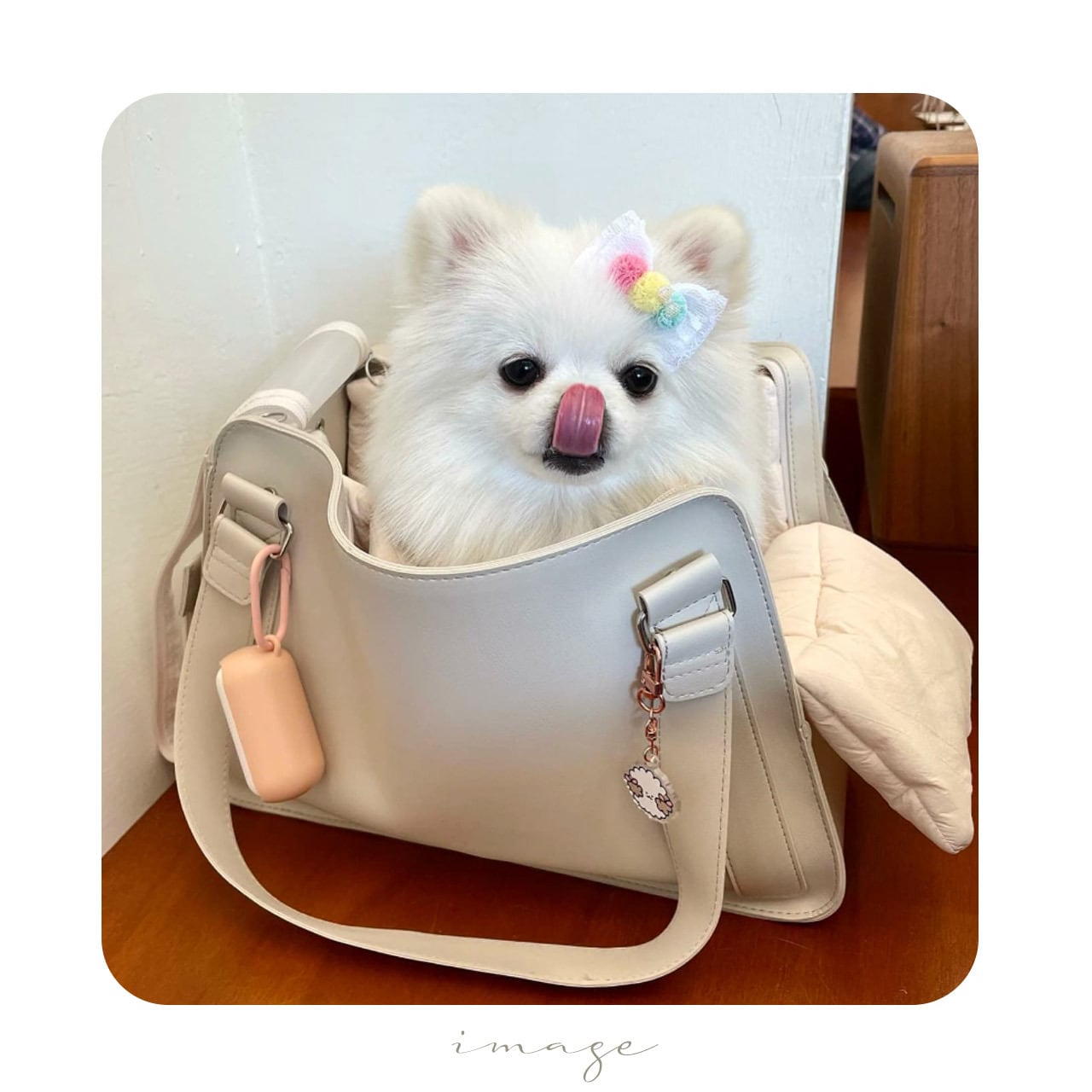 bonbonjour 　ボンボンジュールリボン付き　アトリエgg 犬用品 I love it＊キャンディーBONBON＿リボン＊it-no07（アルサタン