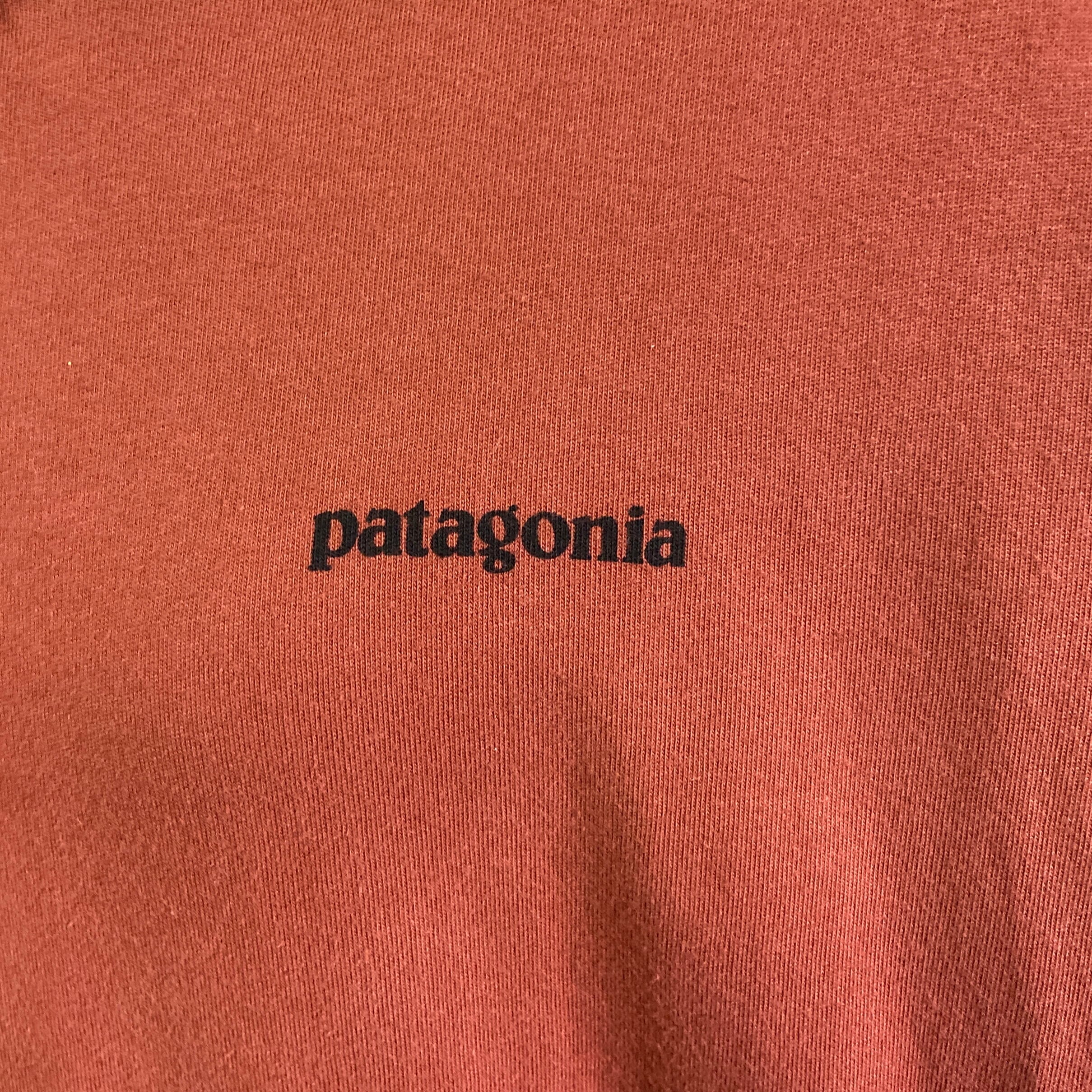 USA製 patagonia パタゴニア 胸ロゴ バックプリント ロングTシャツ