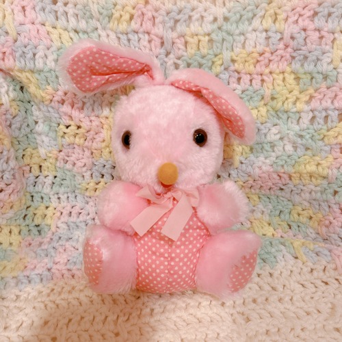 bunnyの画像