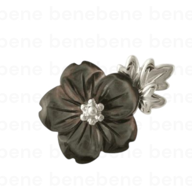 SV ﾏｸﾞﾋﾟﾀ  ⑤ 花typeA