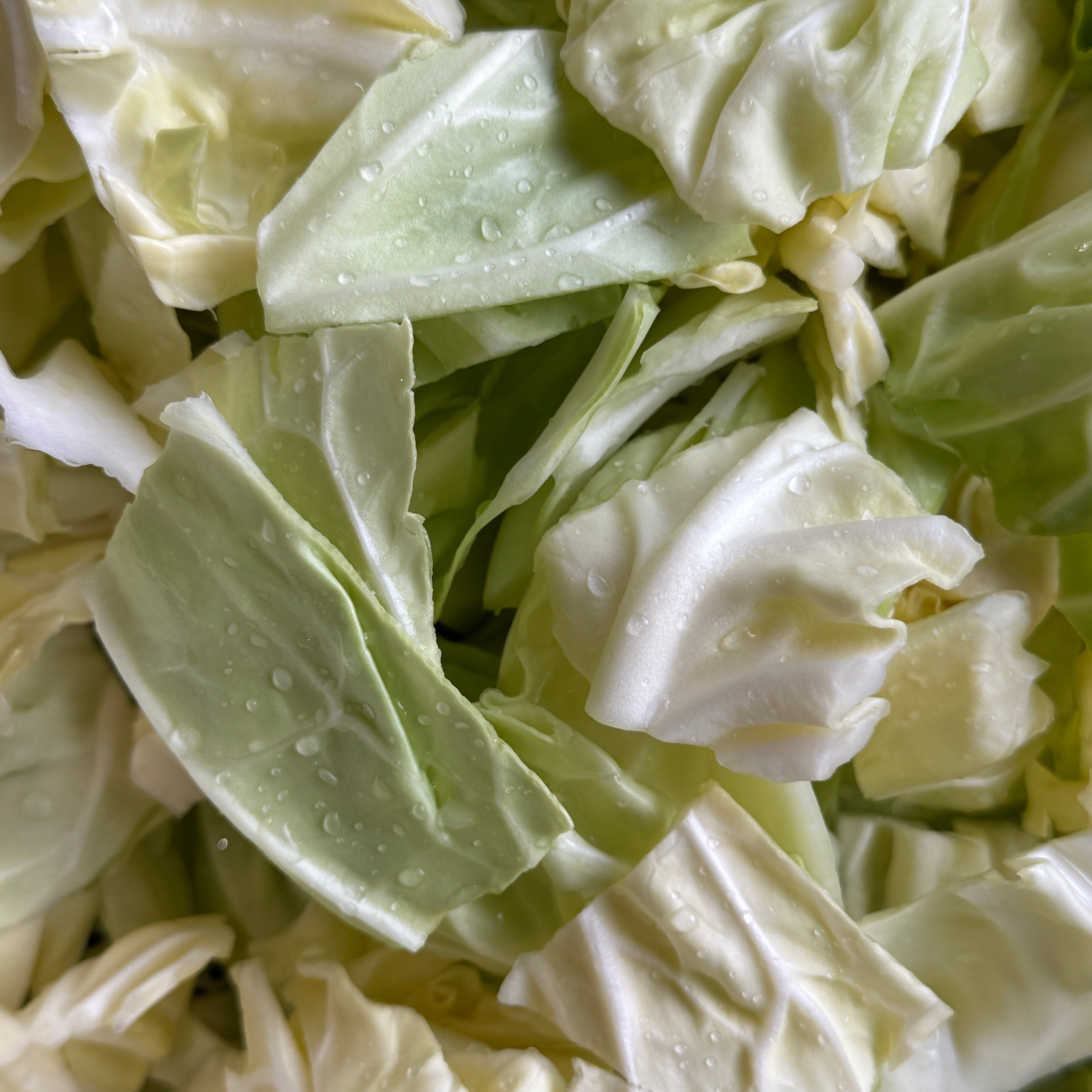 豚肉と蓮根のポタージュ