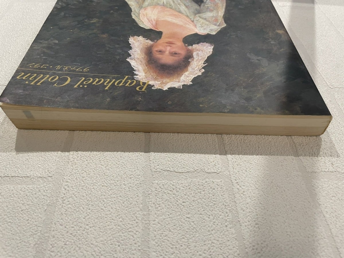 VM006】ラファエル・コラン展 /visual book | Pay ID