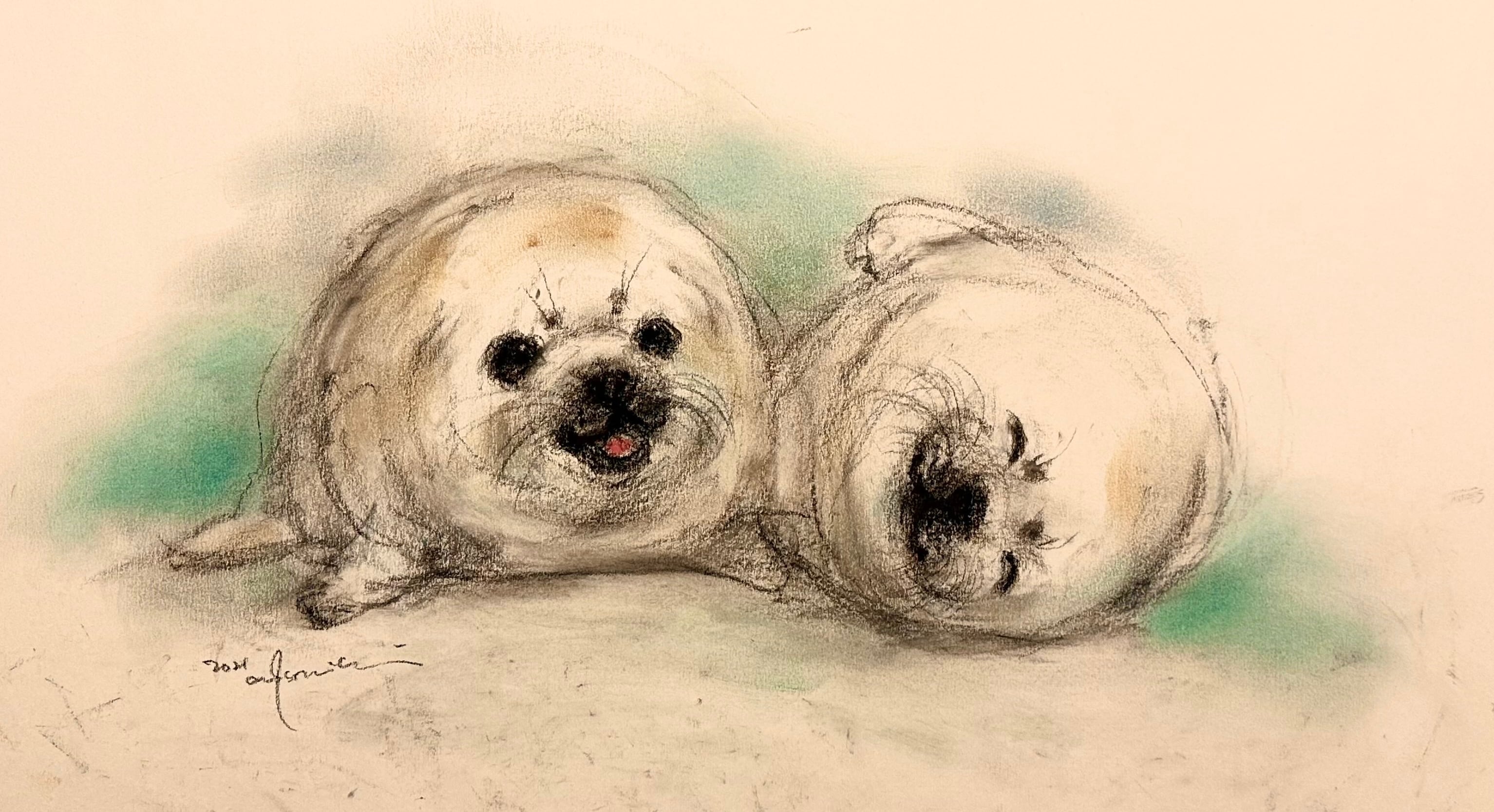 アザラシくん達 語り笑いあう】 | スケッチらぼ