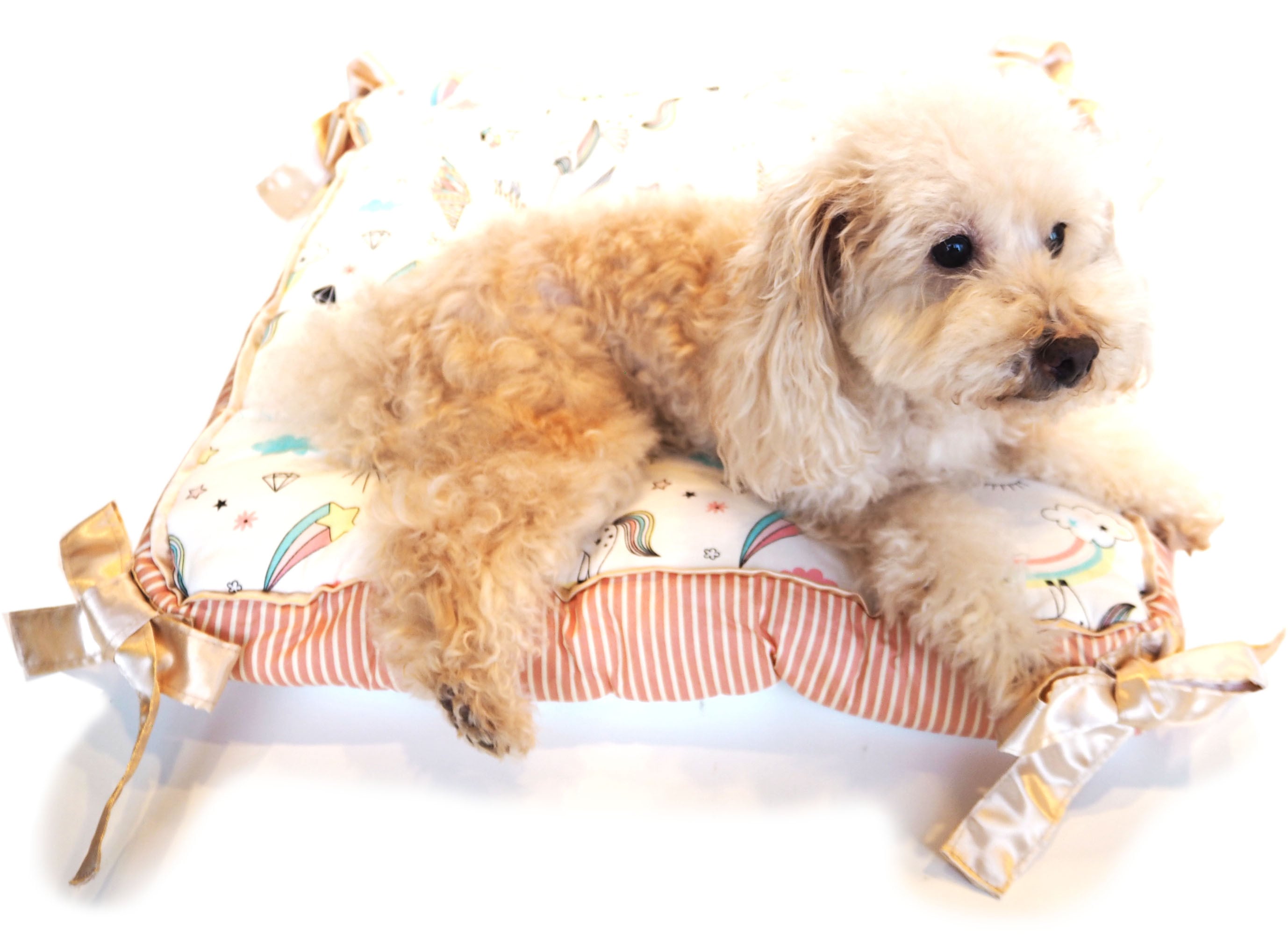 【ドッグベッド】ユニコーンのスクエアクッション　ホワイト/ブルー