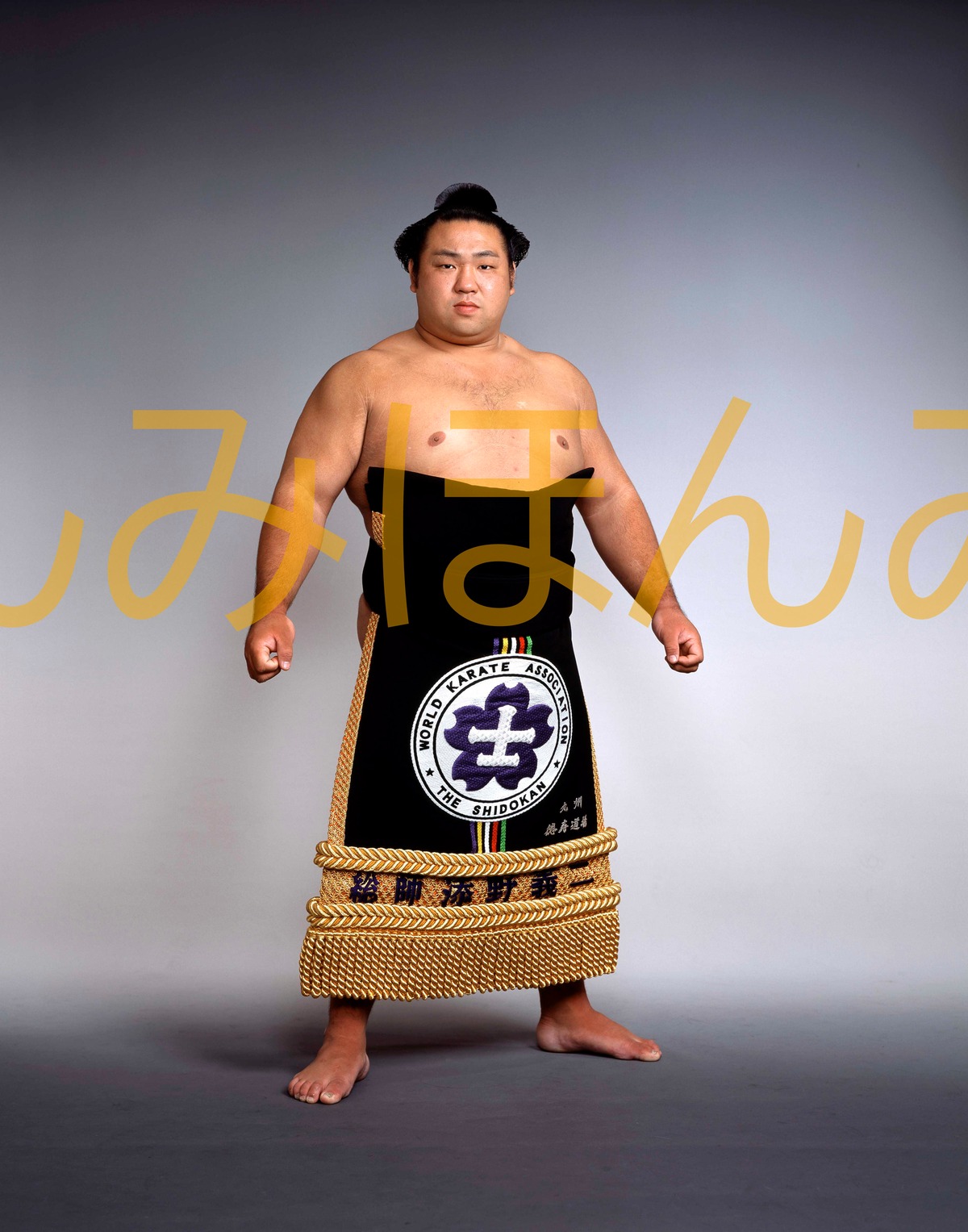 平成14年7月場所優勝 大関 千代大海龍二関（2回目の優勝 