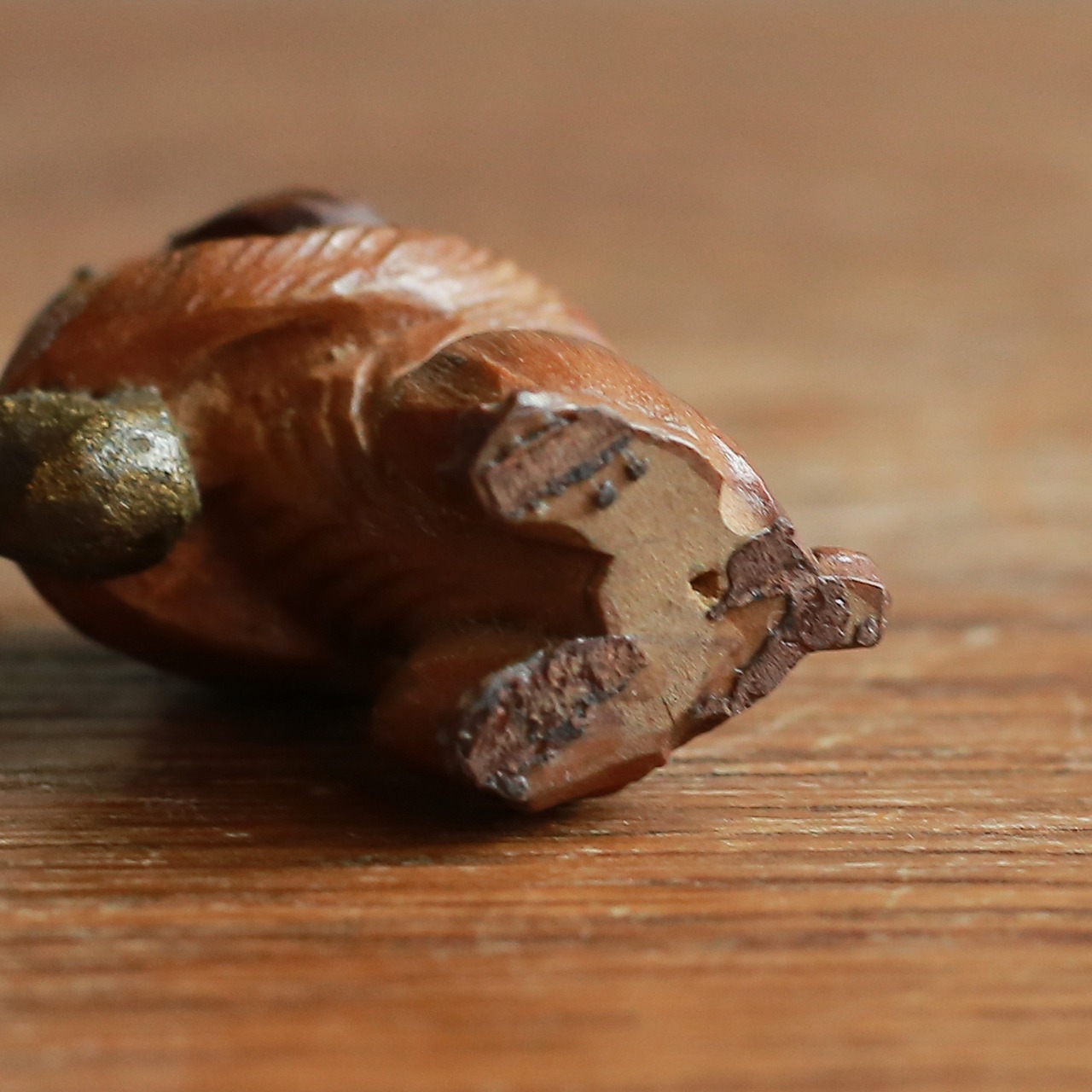 一生懸命演奏する、小さなイヌの音楽隊 4