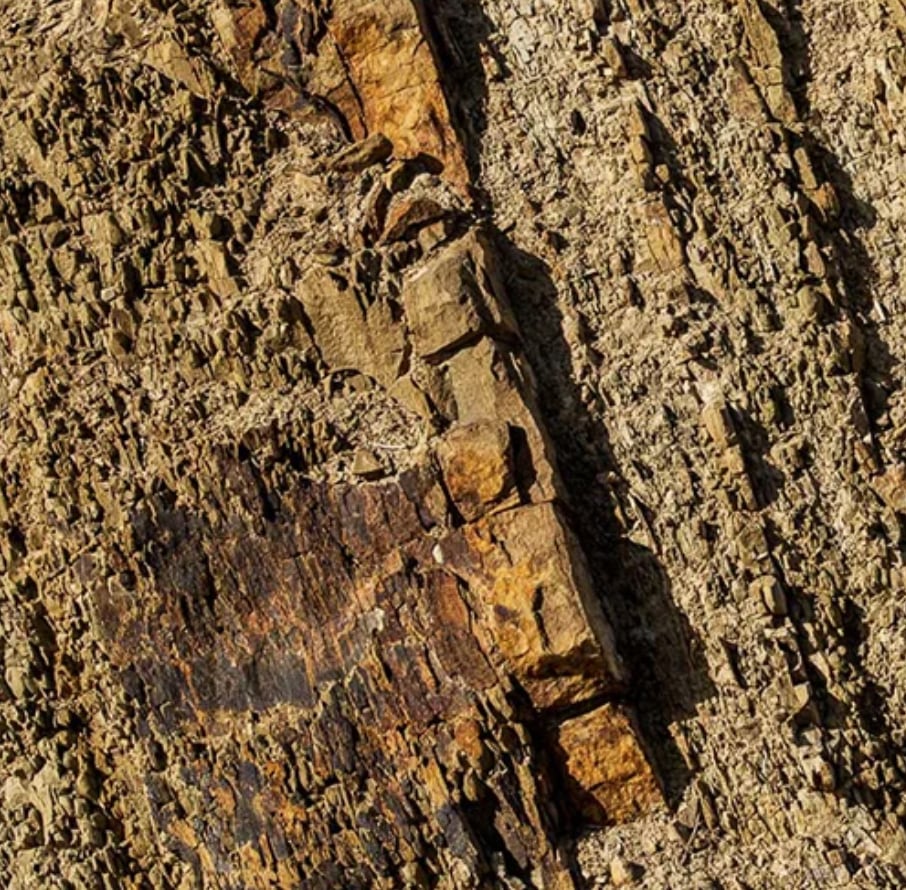 【ストゥルム 】ストゥルム ソーヴィニヨン オーガニック 2022