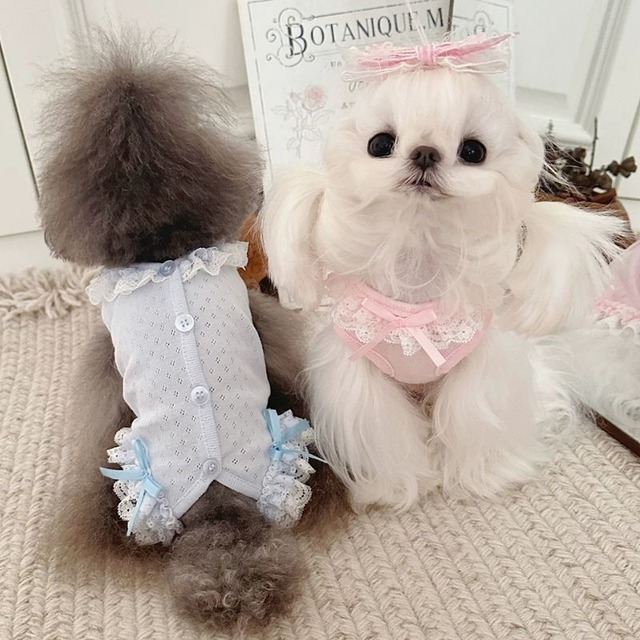 レーストリムロンパース　犬服　01310