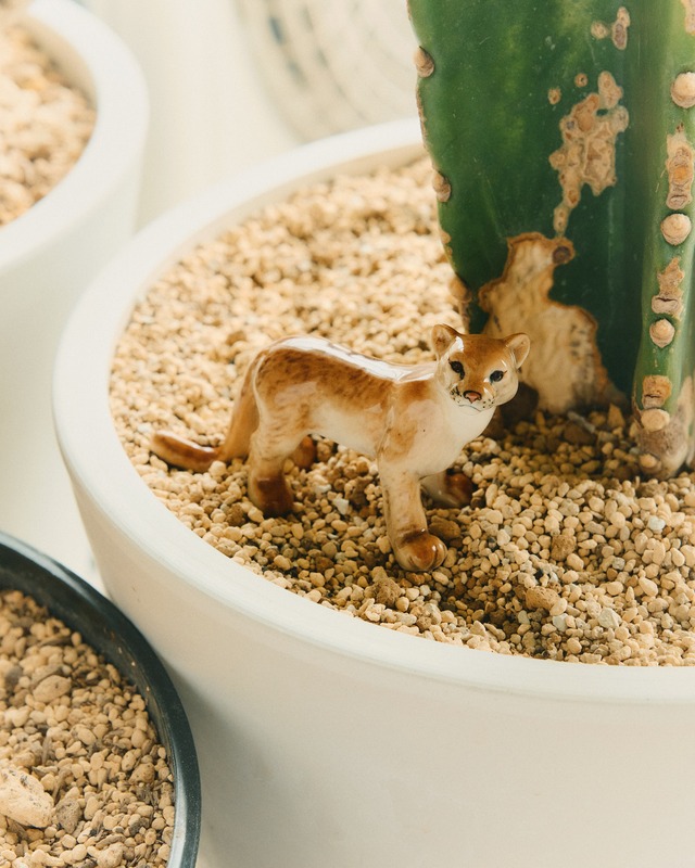 【ミニチュア陶器】Puma