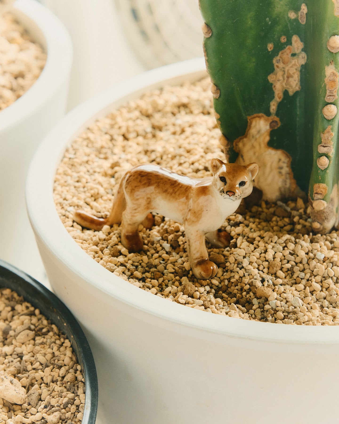 【ミニチュア陶器】Puma