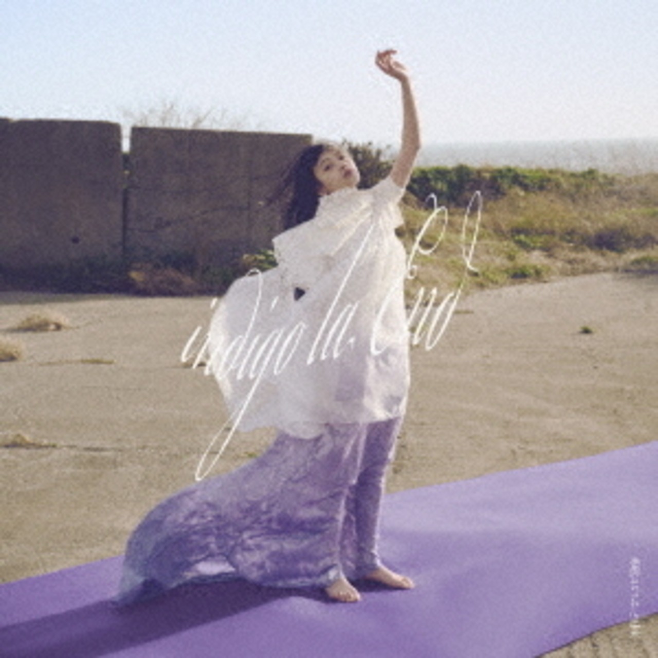 【完全生産限定盤】indigo la End「満ちた紫」アナログ盤（12インチ2枚組）