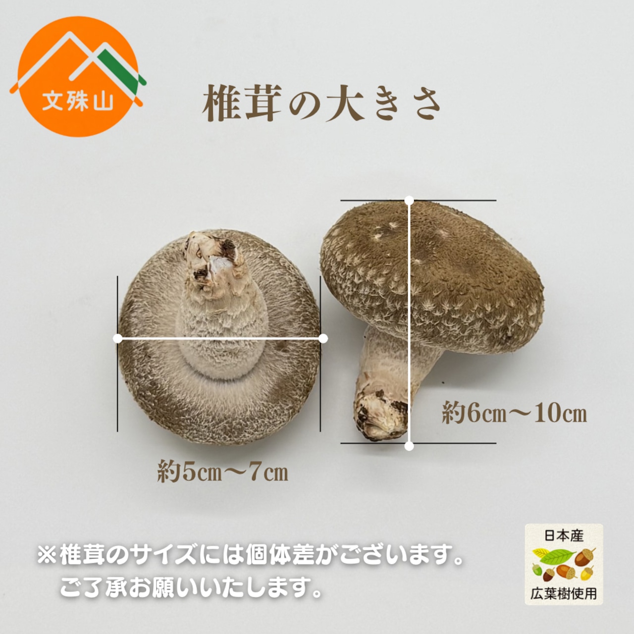文殊山しいたけ(1kg)