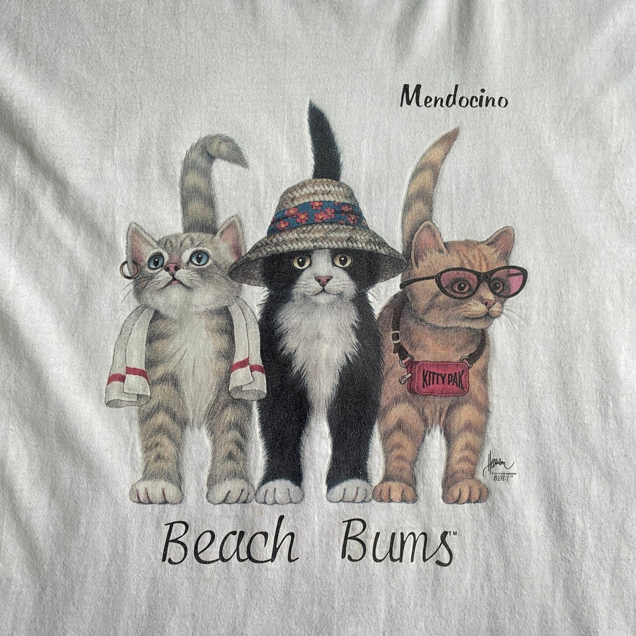 90年代 ボブ ハリソン アート アニマル 猫 両面プリントTシャツ メンズ 