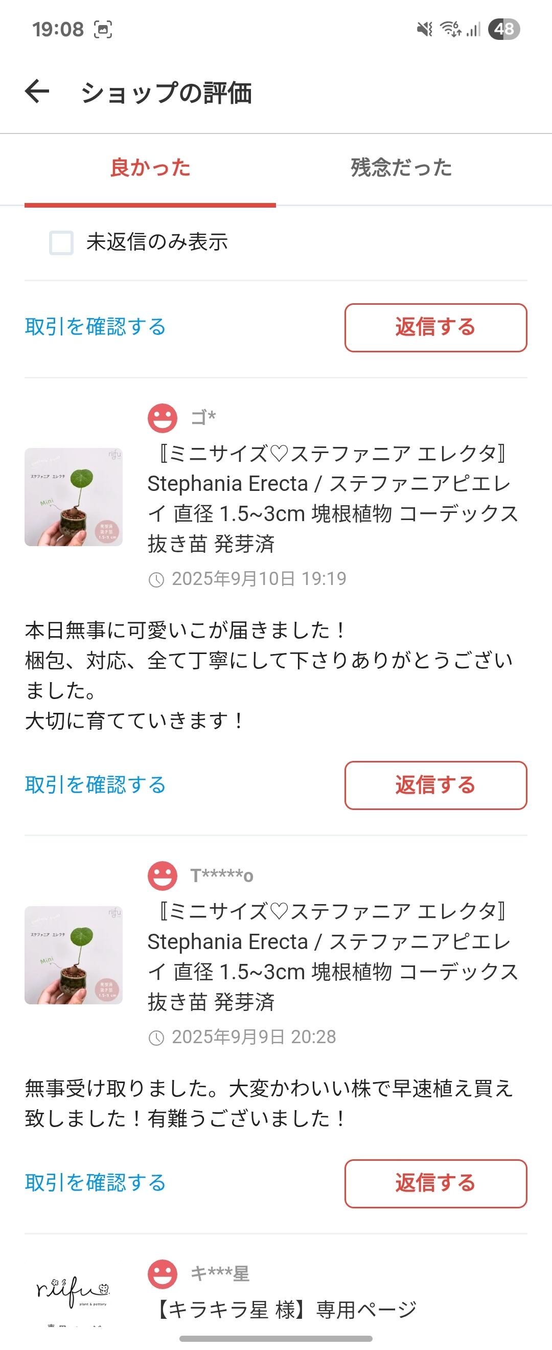 ミニサイズ♡ステファニア エレクタ+栽培セット〛Stephania Erecta