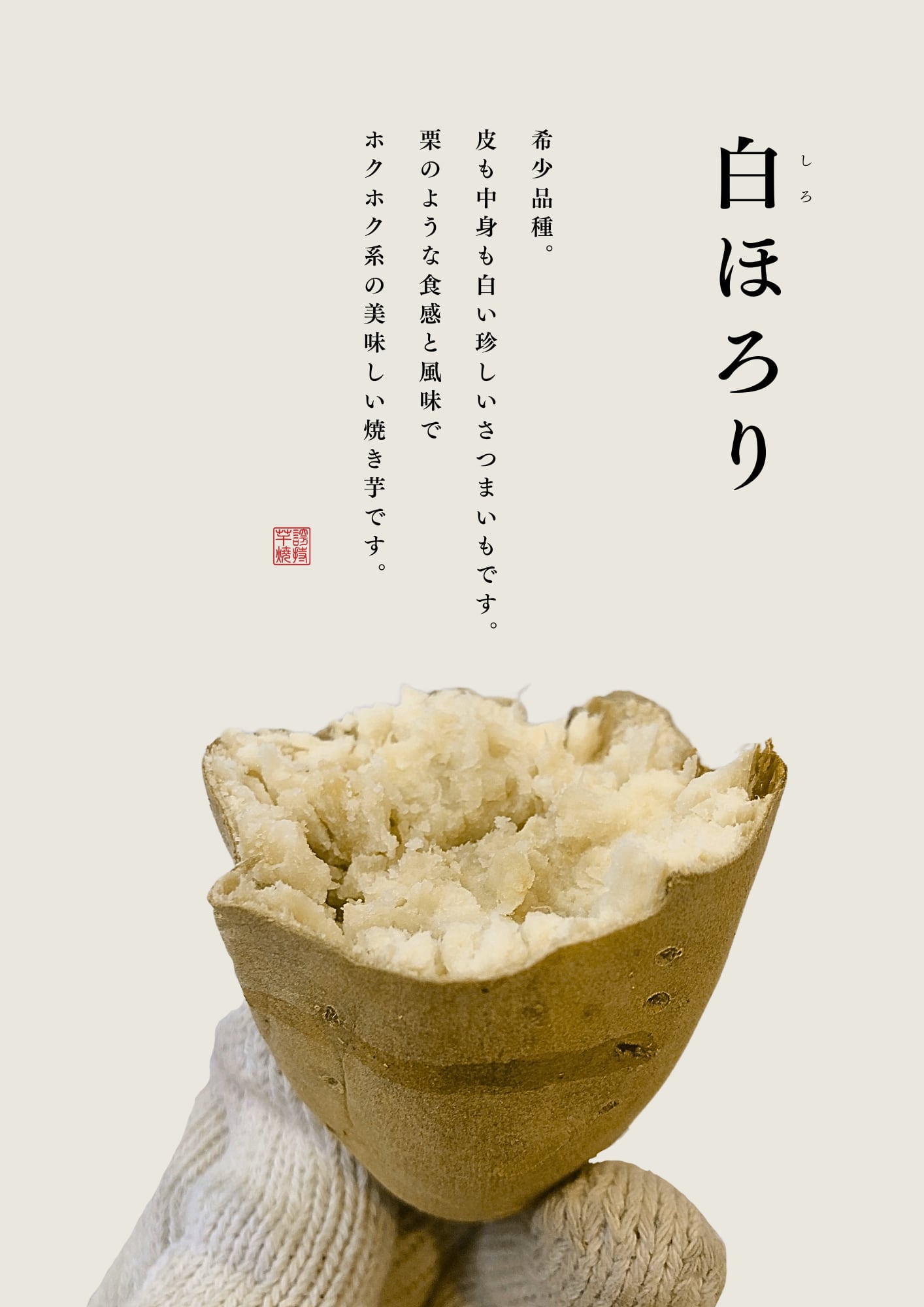 しろほろり切り苗400本 - 葉菜
