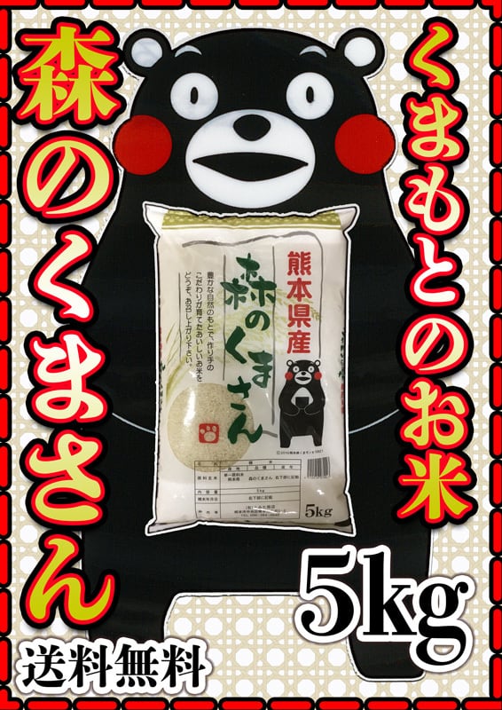 お米 米 5kg 白米 送料無料 熊本県産 森のくまさん 令和7年産 5kg1個