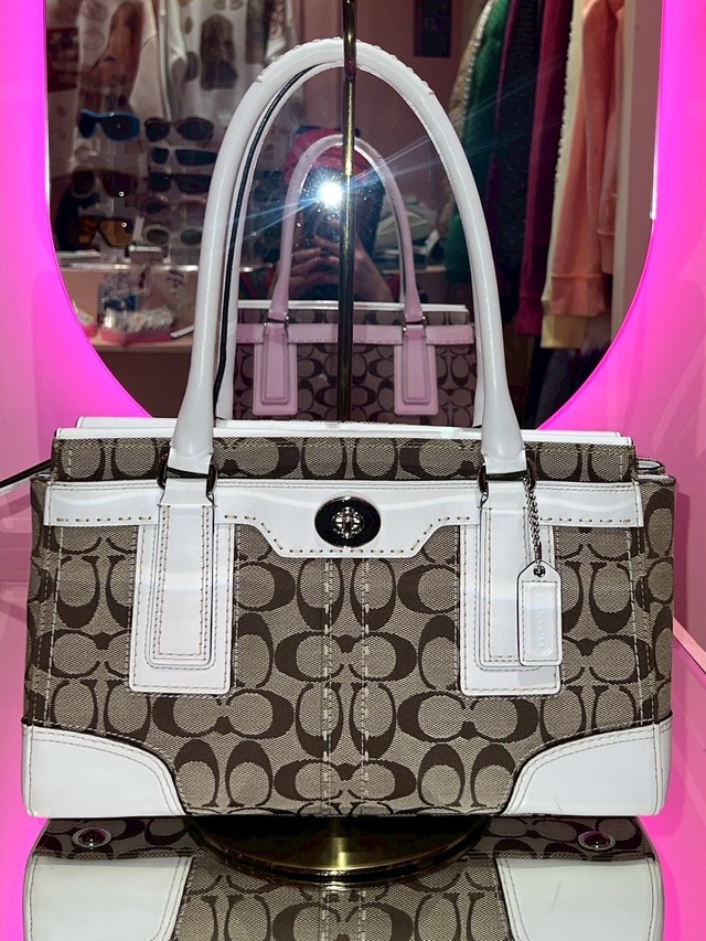 Vintage Coach Signature Bag    y2k