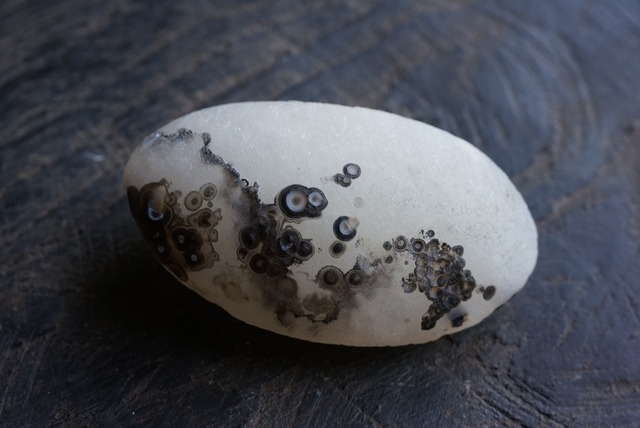 ゴビアゲート Gobi Desert Eye Agate 523