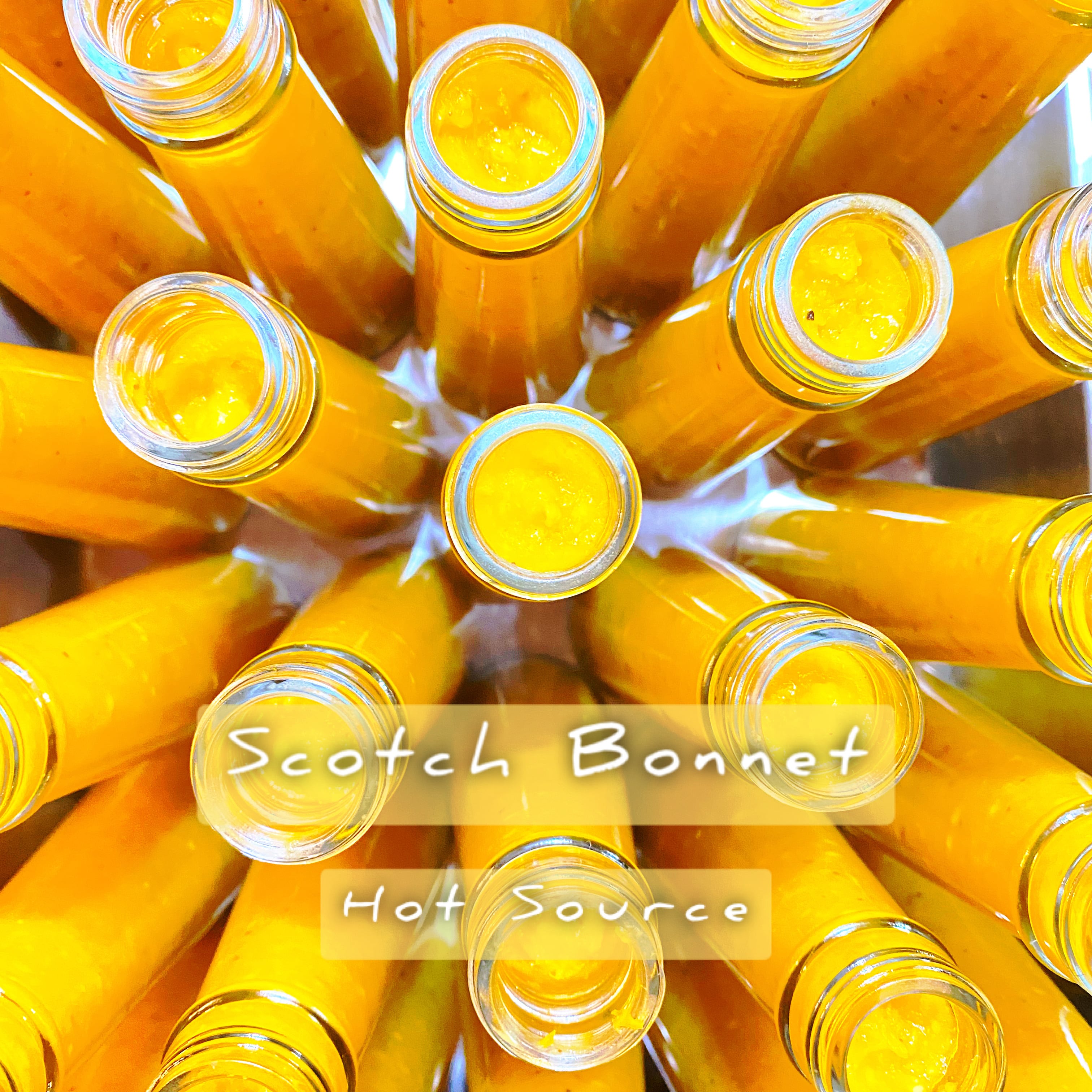 Scotch Bonnet Sauce(スコッチボネットホットソース）自然栽培【予約