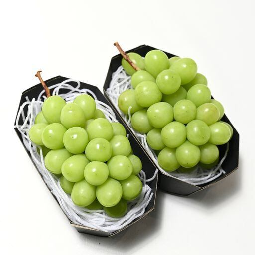 ◎通常販売 】朝採り新鮮！ 産地直送 山梨県産 シャインマスカット 約