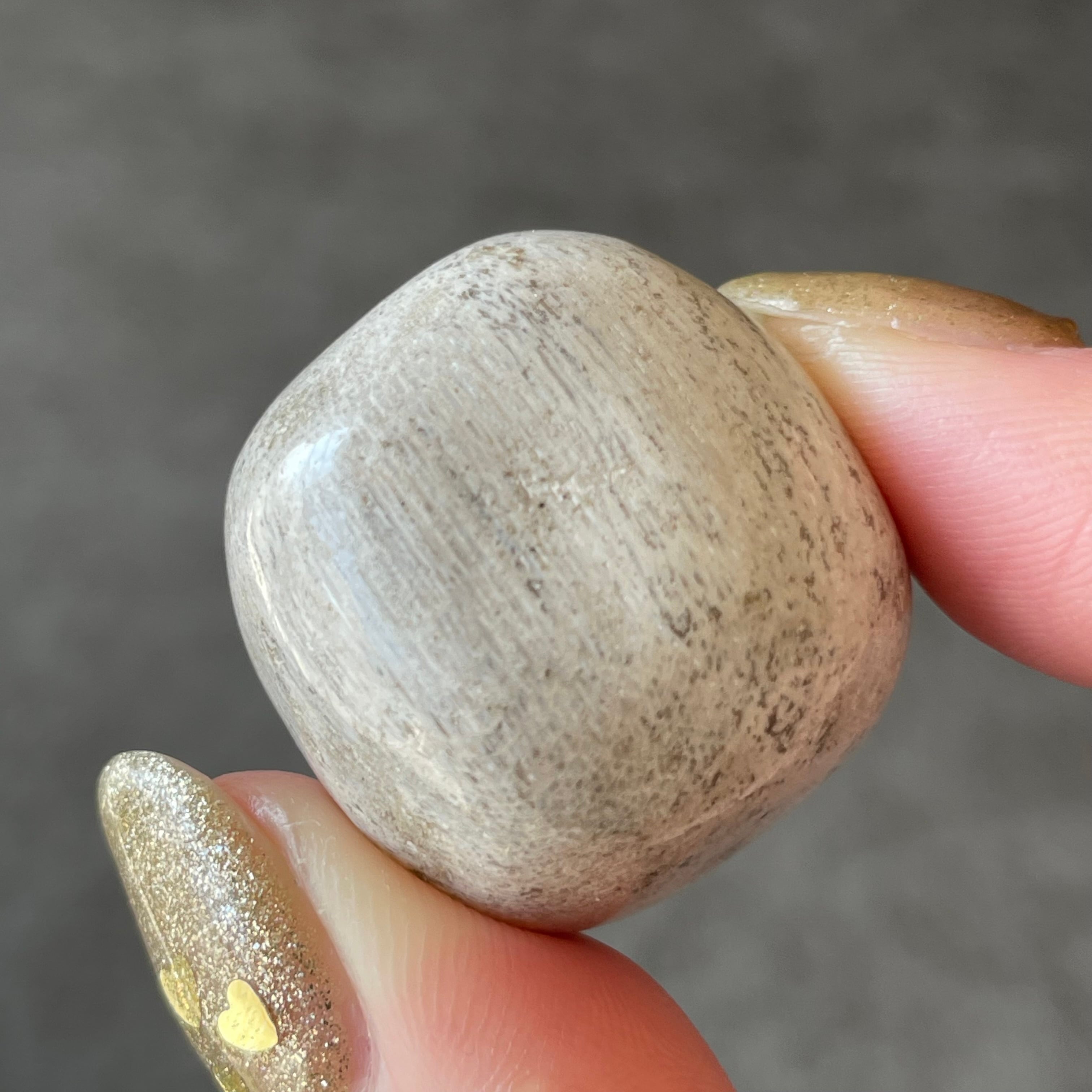 Petrified Wood ペトリファイドウッド|Tumble タンブル|天然石 パワーストーン 鉱物 gem stone
